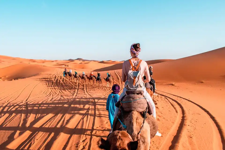 Camel trekking in the Merzouga dunes